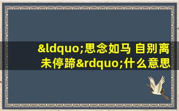 “思念如马 自别离 未停蹄”什么意思